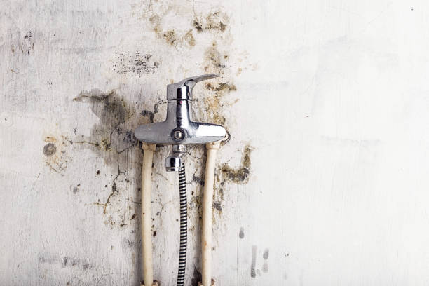 Best Residential Mold Removal  in Skagway, AK