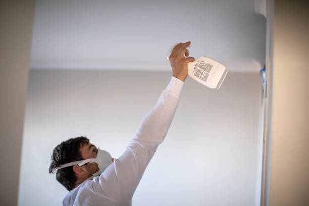 Best Water Damage Restoration  in Skagway, AK