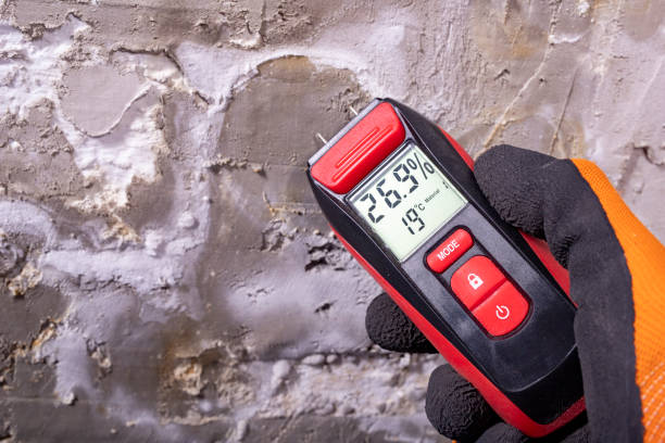 Best Emergency Mold Removal  in Skagway, AK
