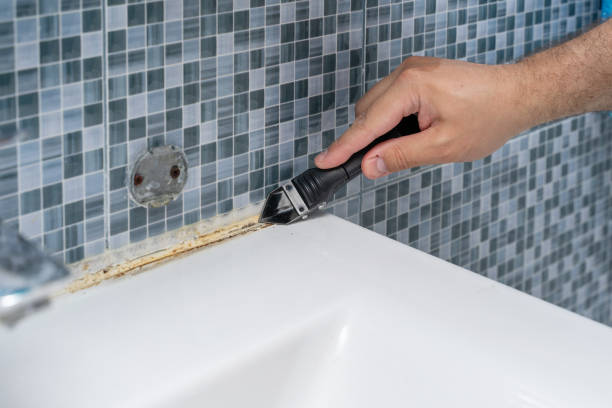 Trusted Skagway, AK Mold Removal Experts